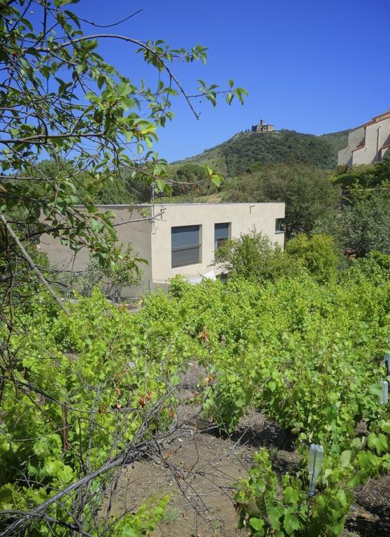 קוליור Le Clos Saint Elme מראה חיצוני תמונה