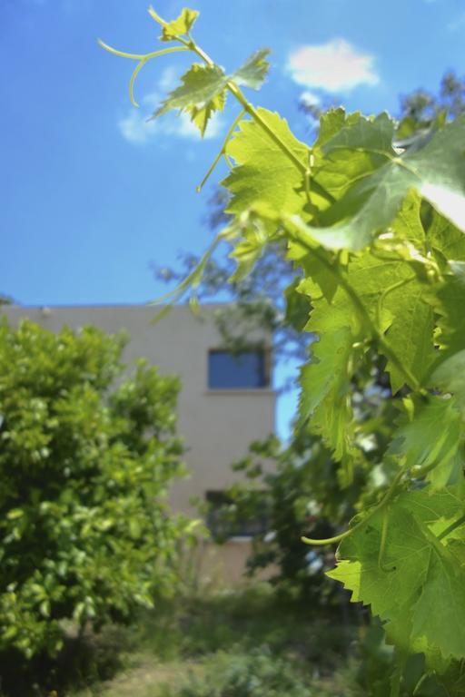 קוליור Le Clos Saint Elme מראה חיצוני תמונה